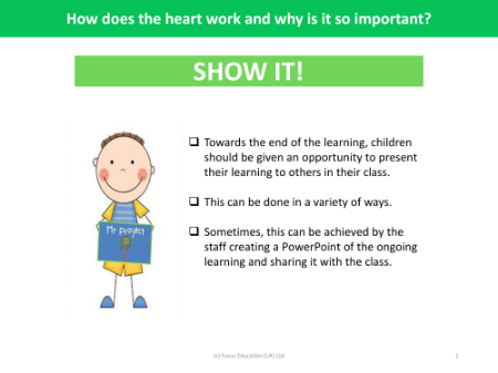 Show it! Group presentation - Heart and the Circulatory system - Year 6