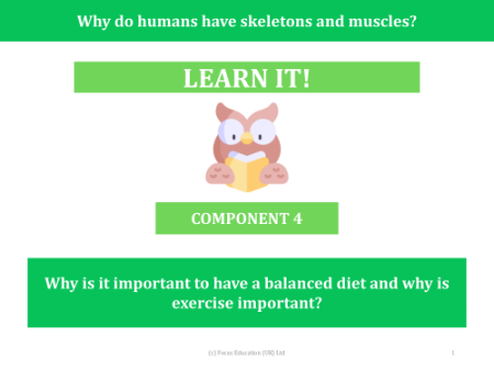 Why is it important to have a balanced diet and why is exercise important? - Presentation