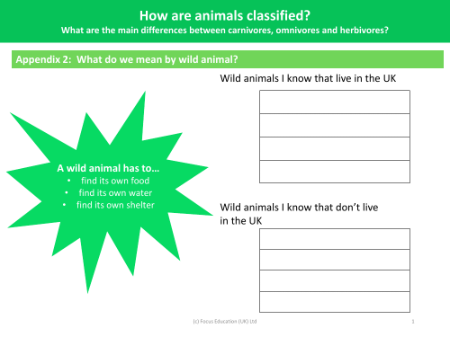 Wild Animals - Worksheet