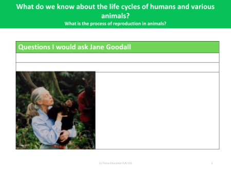 Questions I would ask Jane Goodall - Worksheet - Year 5