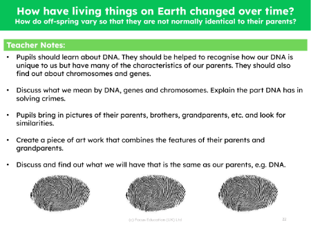 How do off-spring vary so that they are not normally identical to their parents? - teacher's notes