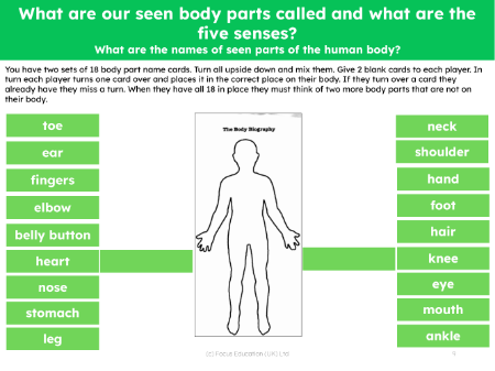 How many body parts can you name? - card game - Worksheet