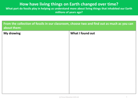 What part did fossils play in helping us understand more about living things that inhabited our Earth millions of years ago? - worksheet