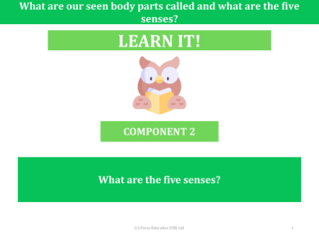 What are the five senses? - Presentation