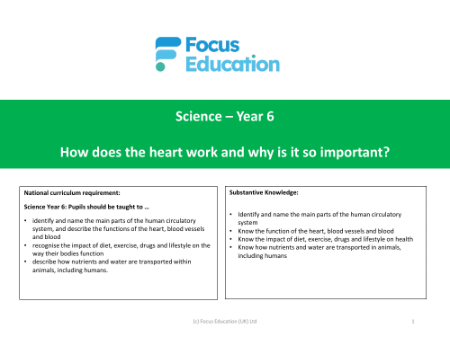 Long-term overview - Heart and the Circulatory system - Year 6
