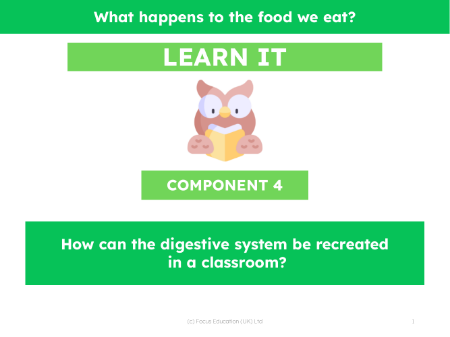 How can the digestive system be recreated in a classroom? - Presentation