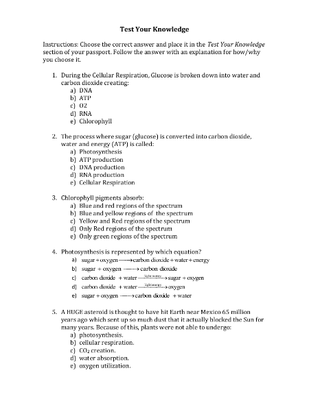 Cellular Respiration Photosynthesis - Test your Knowledge