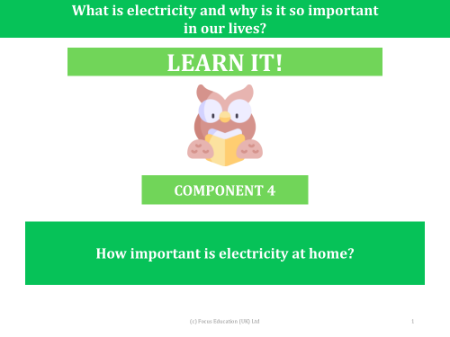 How important is electricity at home? - Presentation
