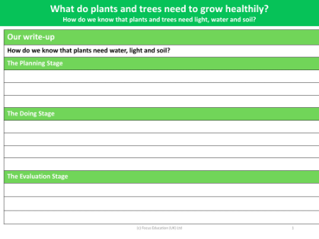 Why plants need water, light and soil? - Worksheet - Year 2