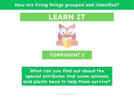 What can you find out about the special attributes that some animals and plants have to help them survive? - Presentation