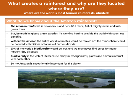 Amazon rainforest - Info sheet