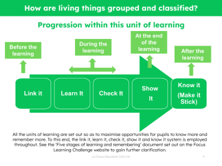 Progression pedagogy - Grouping Living Things - 5th Grade