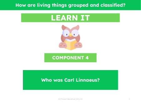 Who was Carl Linnaeus? - Presentation