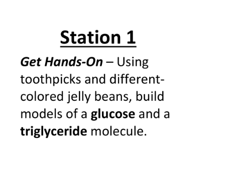 Carbohydrates and Lipids - Lab Station Cards