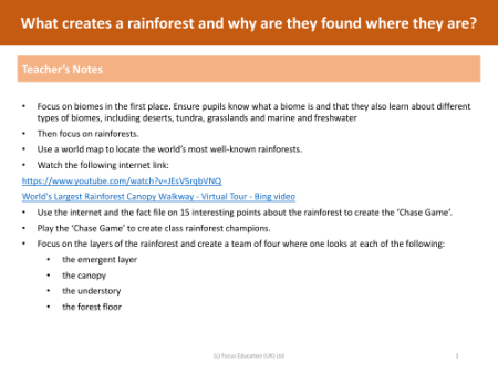 What are biomes and can a rainforest be described as one? - Teacher notes