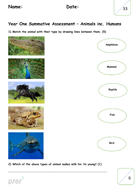 Animals including Humans - Assessment