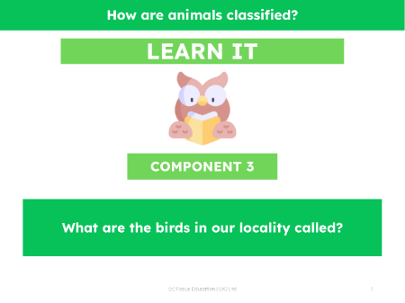 What are the birds in our locality called? - Presentation