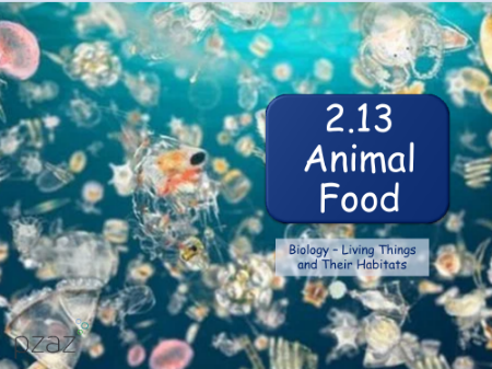Animal Food - Presentation