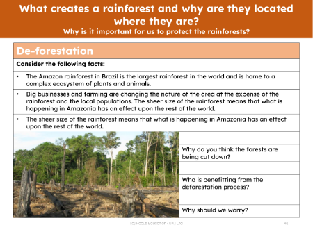 Deforestation - Info sheet