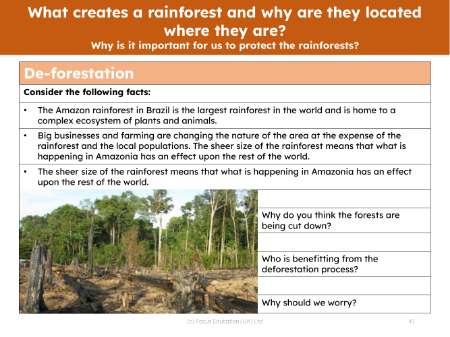 Why are rainforests important?