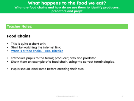 What are food chains and how we do use them to identify producers, predators and prey?  - Teacher notes