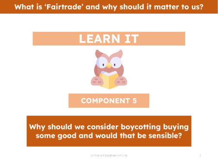 Why should we consider boycotting buying some good and would that be sensible? - Presentation