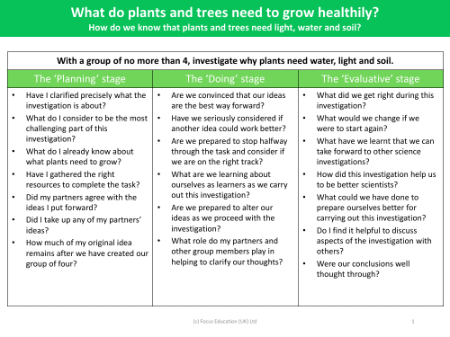 Why plants need water, light and soil? - Research - Year 2