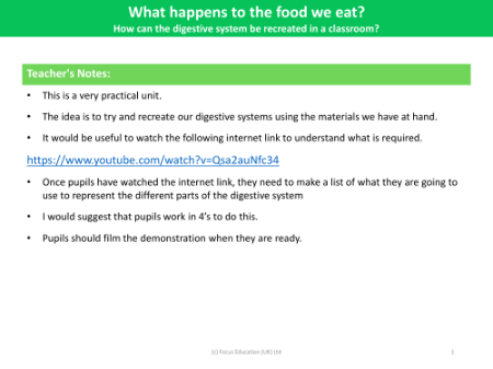 How can the digestive system be recreated in a classroom? - Teacher notes