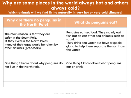 Penguins - Worksheet