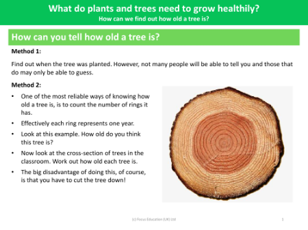 How can you find how old a tree is? - Info Pack - Year 2