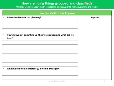 How quickly does mould grow - Write up