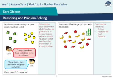 Sort Objects: Reasoning and Problem Solving