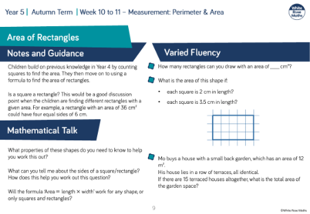 Area of rectangles: Varied Fluency