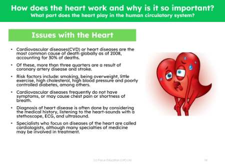 Issues with the heart - Info sheet