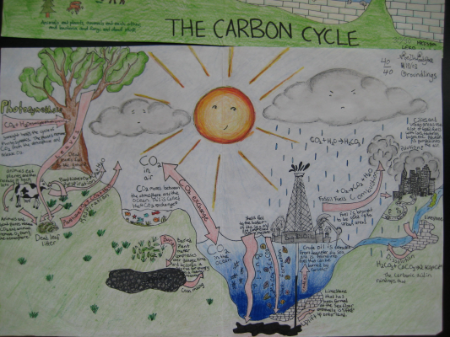 Water Cycle Diagram - Student Examples