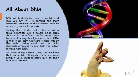 DNA Info Sheet