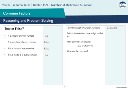 Common factors: Reasoning and Problem Solving