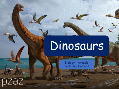 Dinosaurs - Presentation