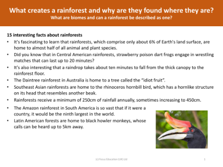 15 interesting facts about rainforests