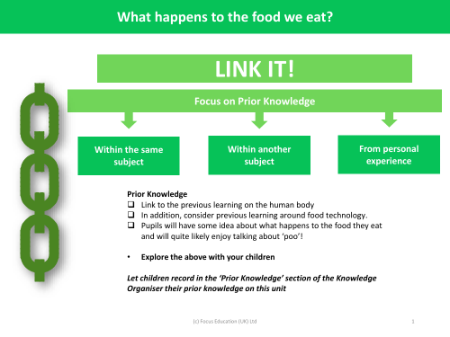 Link it! Prior knowledge - Digestive system - Year 4