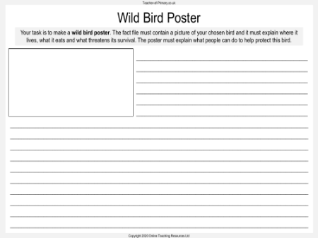 The Magic Finger - Lesson 7: Birds in the Wild - Wild Bird Poster Worksheet