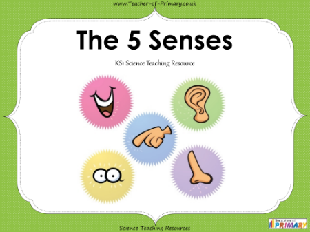 The 5 Senses - PowerPoint