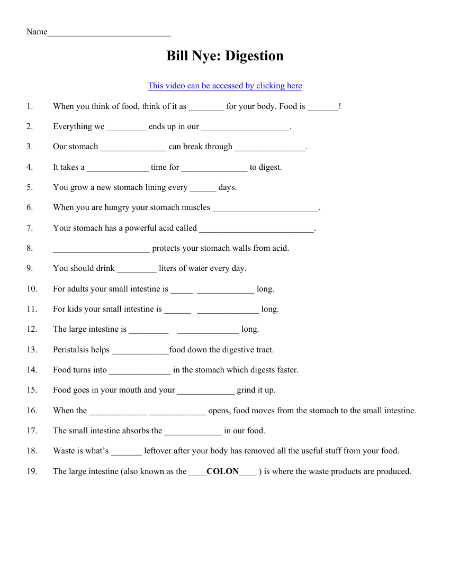 Bill Nye - Digestion Worksheet with Answers