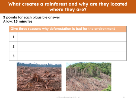 Three reasons - Why deforestation is bad for the environment