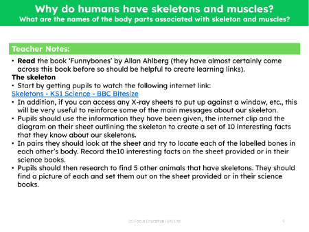 What are the names of the body parts associated with skeleton and muscles? - Teacher notes