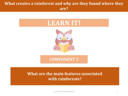What are the main features associated with rainforests? - Presentation