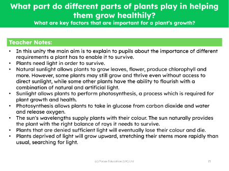 What are the key factors that are important to a plant's growth? - teachers notes