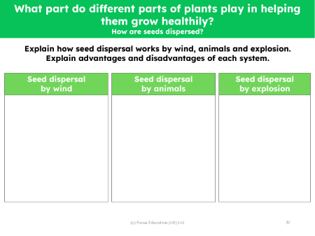 Seed dispersal by wind - worksheet