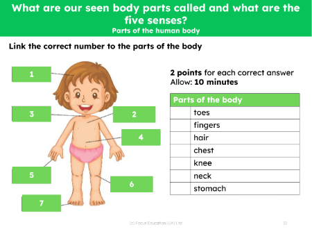 Parts of the Human Body  - Assessment for learning activity