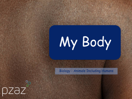 My Body - Presentation
